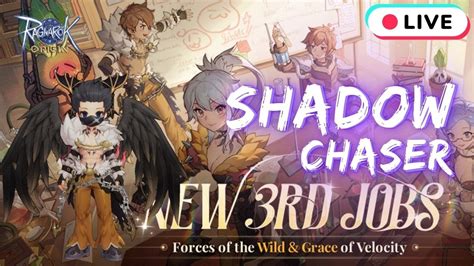 [Guide] Shadow Chaser Build and Equipment : r/RagnarokMobile .